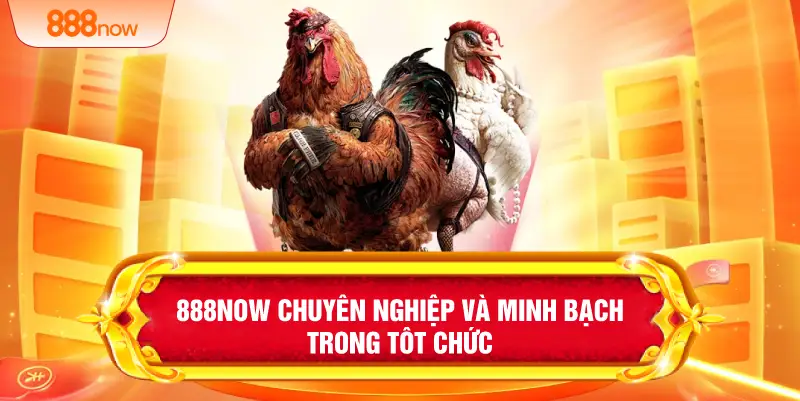 888NOW chuyên nghiệp và minh bạch trong tổ chức