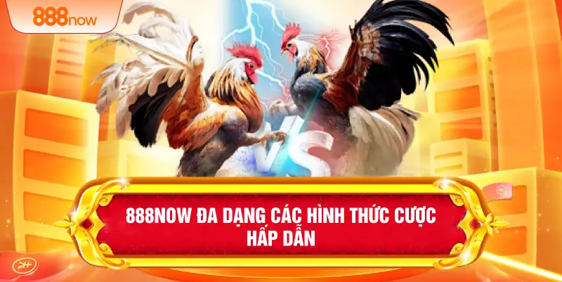 888NOW đa dạng các hình thức cược hấp dẫn