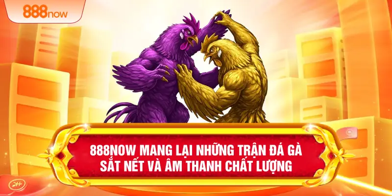 888NOW mang lại những trận đá gà sắt nết và âm thanh chất lượng